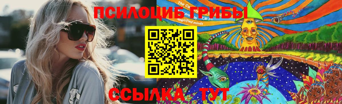Галлюциногенные грибы Psilocybine cubensis  Вход с VPN  Менделеевск 